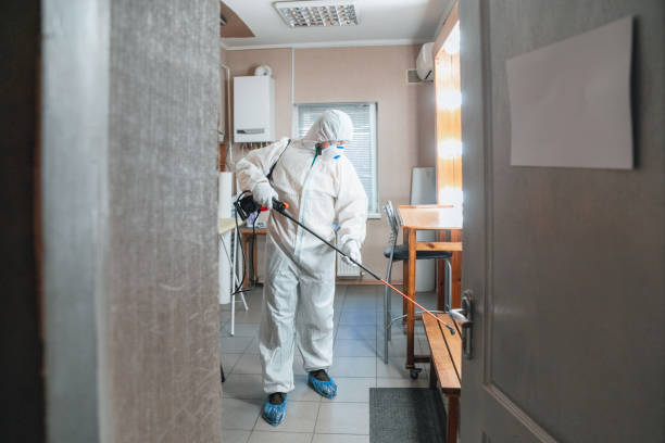Zephyrhills West, FL Mold Removal Company
