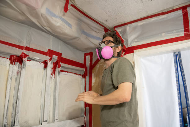 Best Real Estate Mold Inspection  in Zephyrhills West, FL