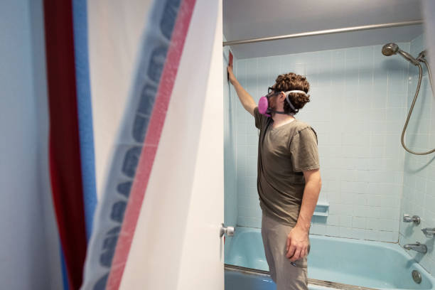 Best Attic Mold Removal  in Zephyrhills West, FL