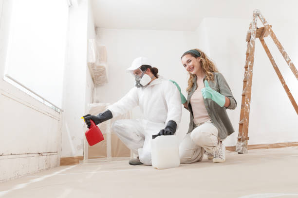 Best Black Mold Removal  in Zephyrhills West, FL