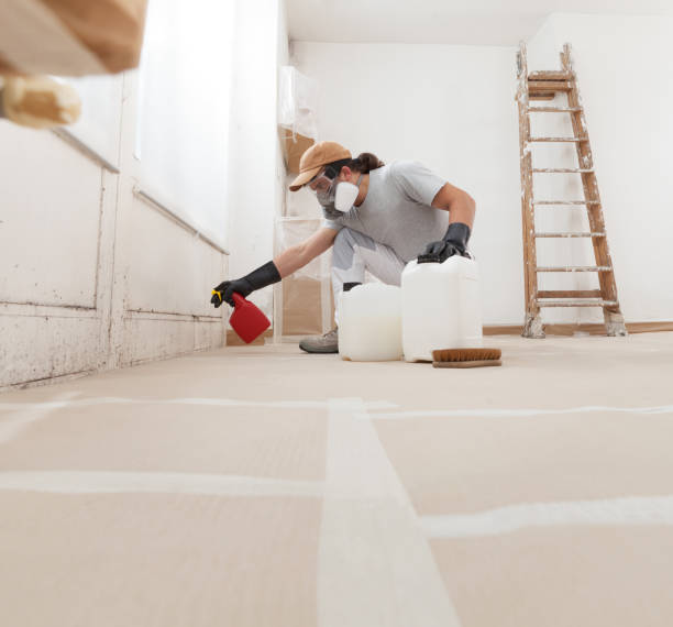 Best Water Damage & Mold Remediation  in Zephyrhills West, FL